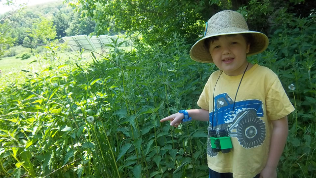 Eli in the Nettle patch