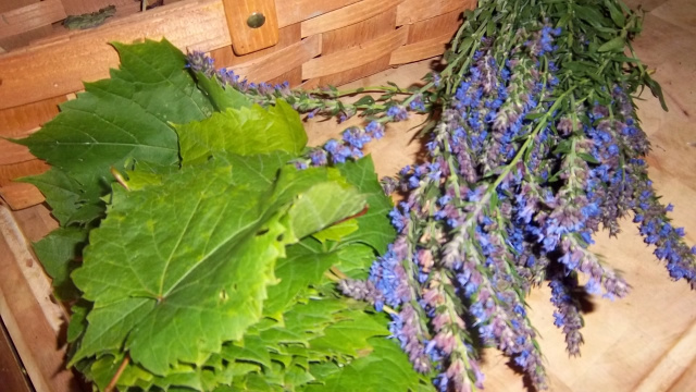 grape leaves and hyssop