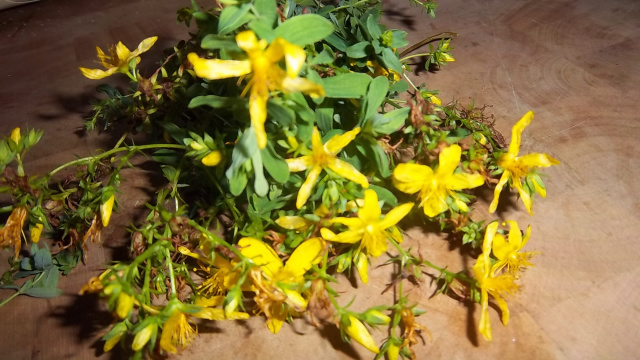 Saint John's Wort